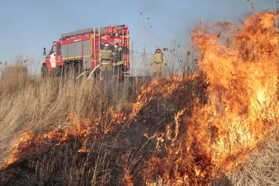 В Азовском районе началась подготовка к пожароопасному сезону 2024